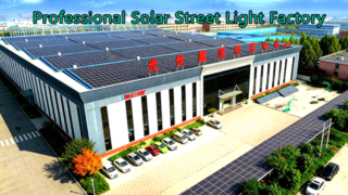 China Solar Outdoor Light Manufacturer Professional Solar Street Light Factory Shenzhen Leadray